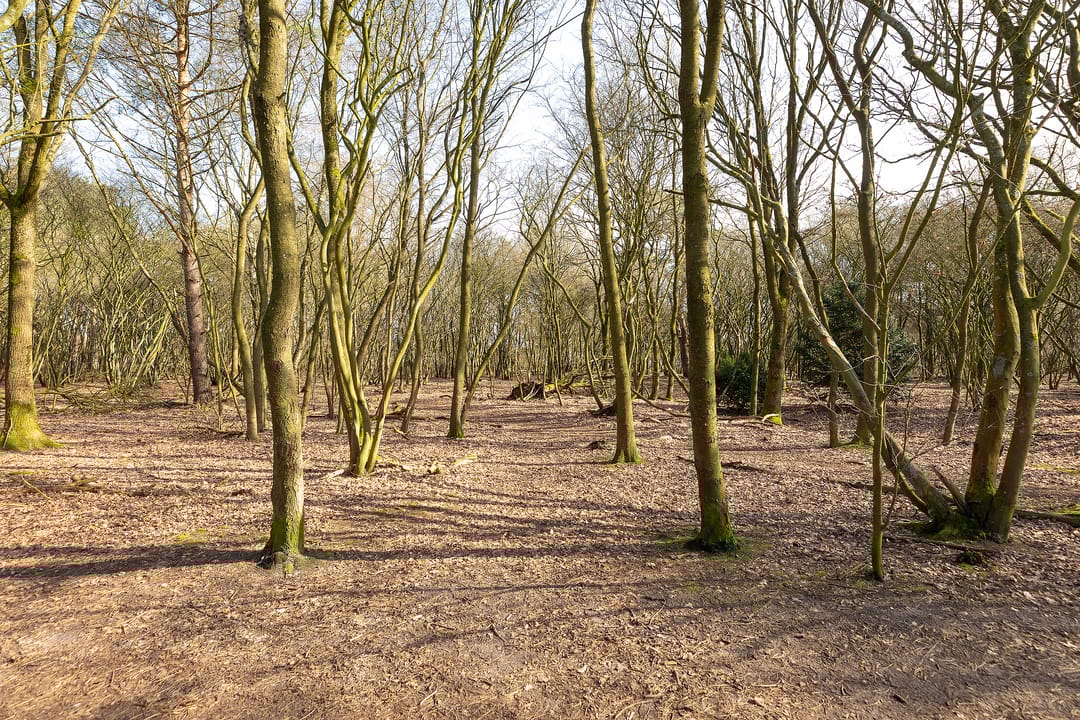 Foto 32 van Poolsterstraat 18