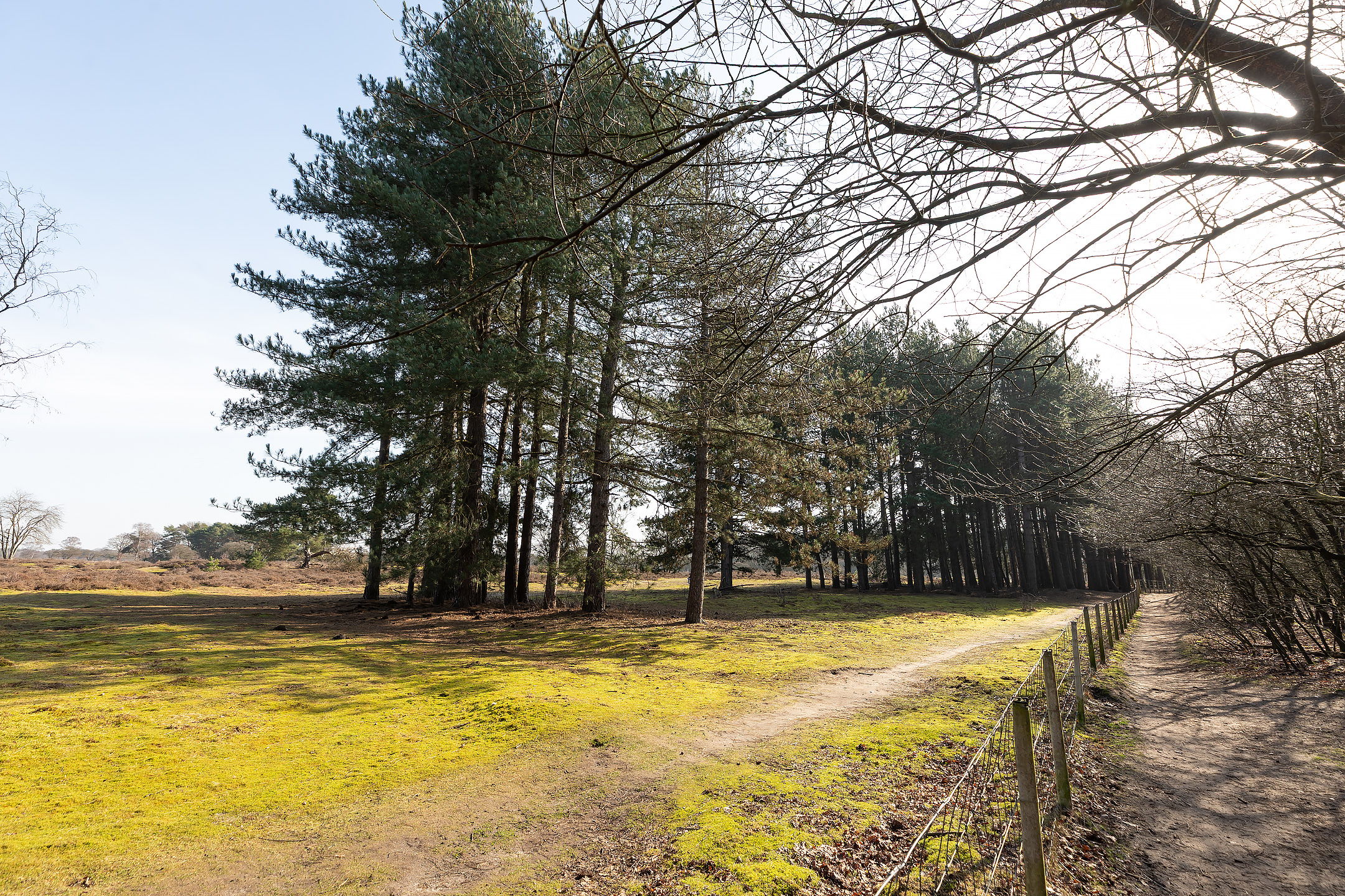 Foto 33 van Poolsterstraat 18