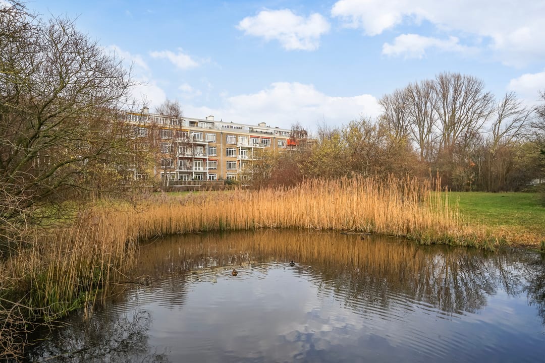 Photo 41 of Sportlaan 692