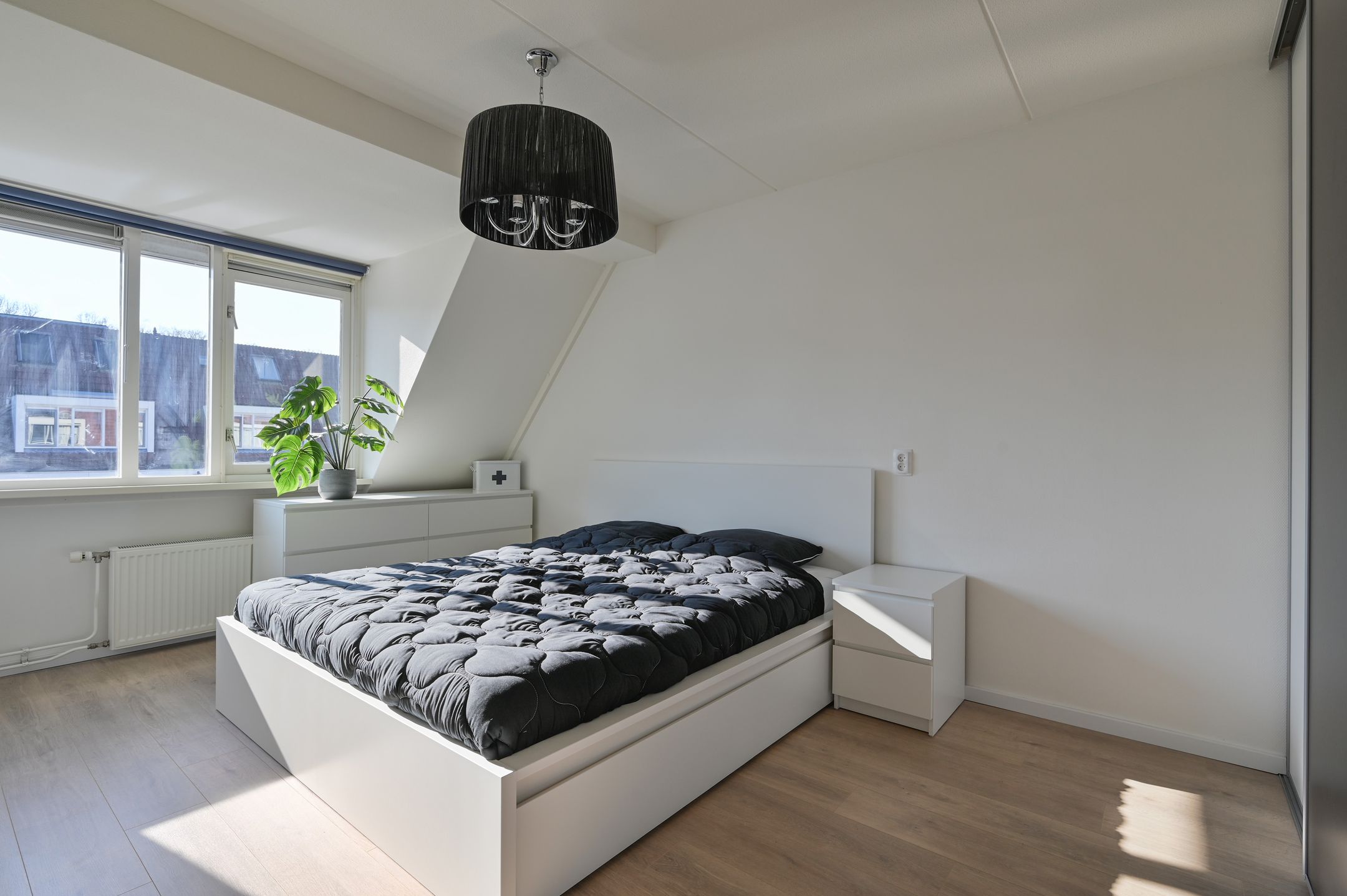 Foto 18 van Sleutelbloem 17