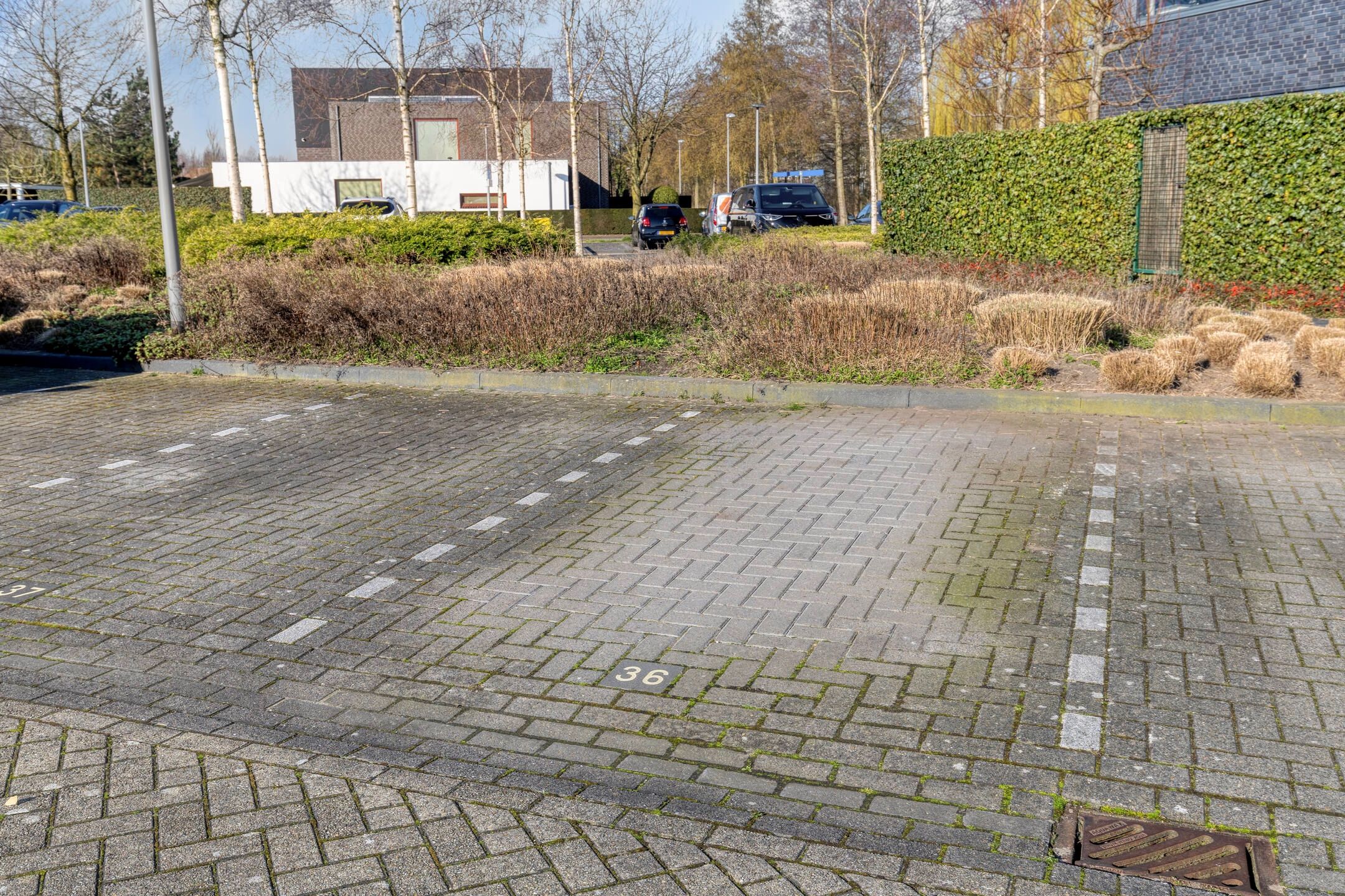 Foto 36 van Erasmusstraat 169