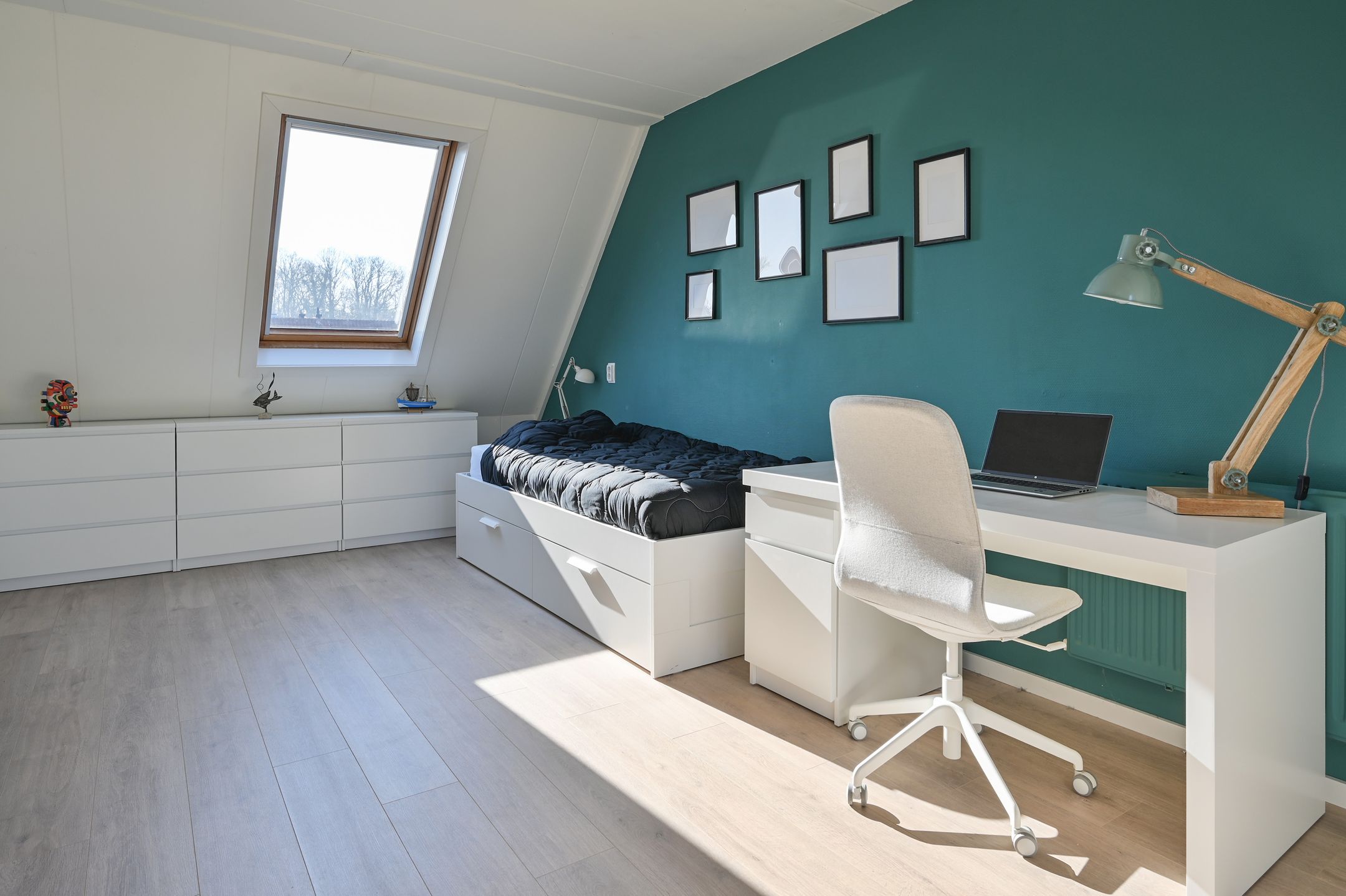 Foto 24 van Sleutelbloem 17