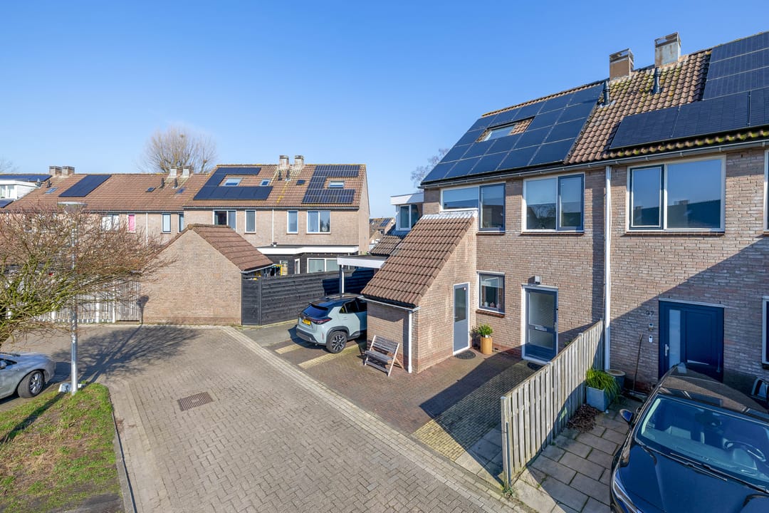 Foto 46 van Paardebloem 38