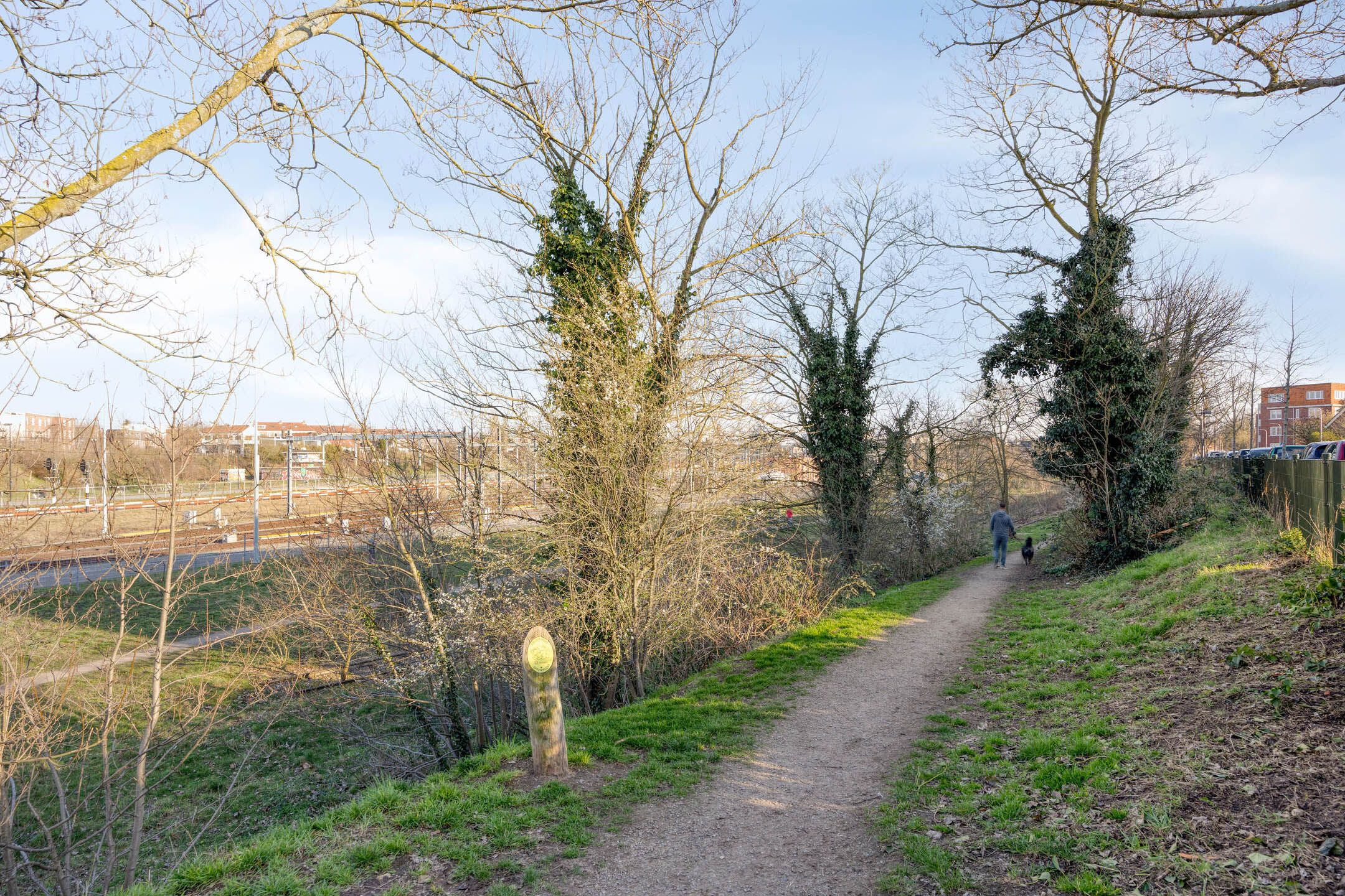 Photo 24 of Tollensstraat 145