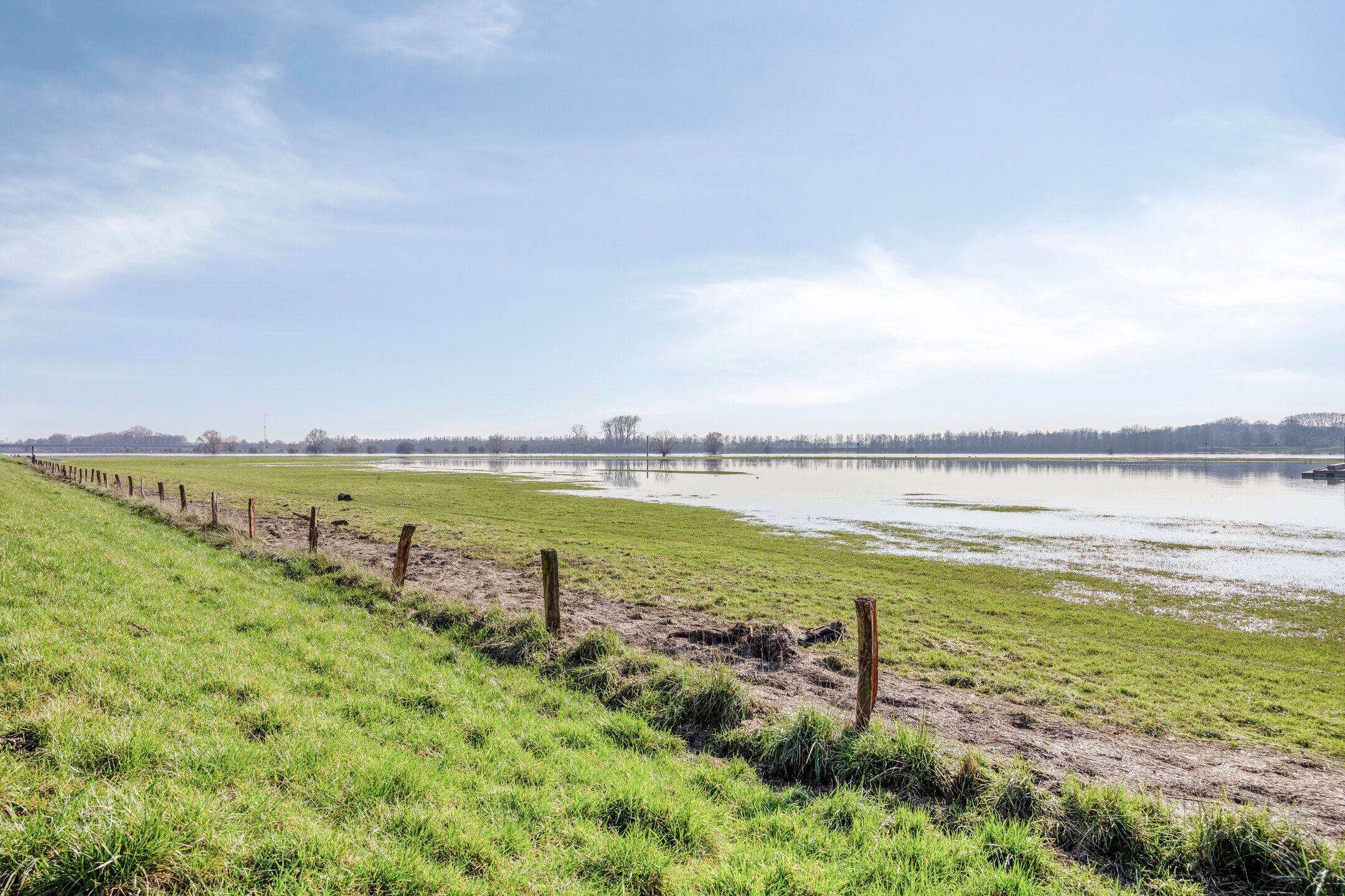 Photo 27 of Ruysdaelstraat 79