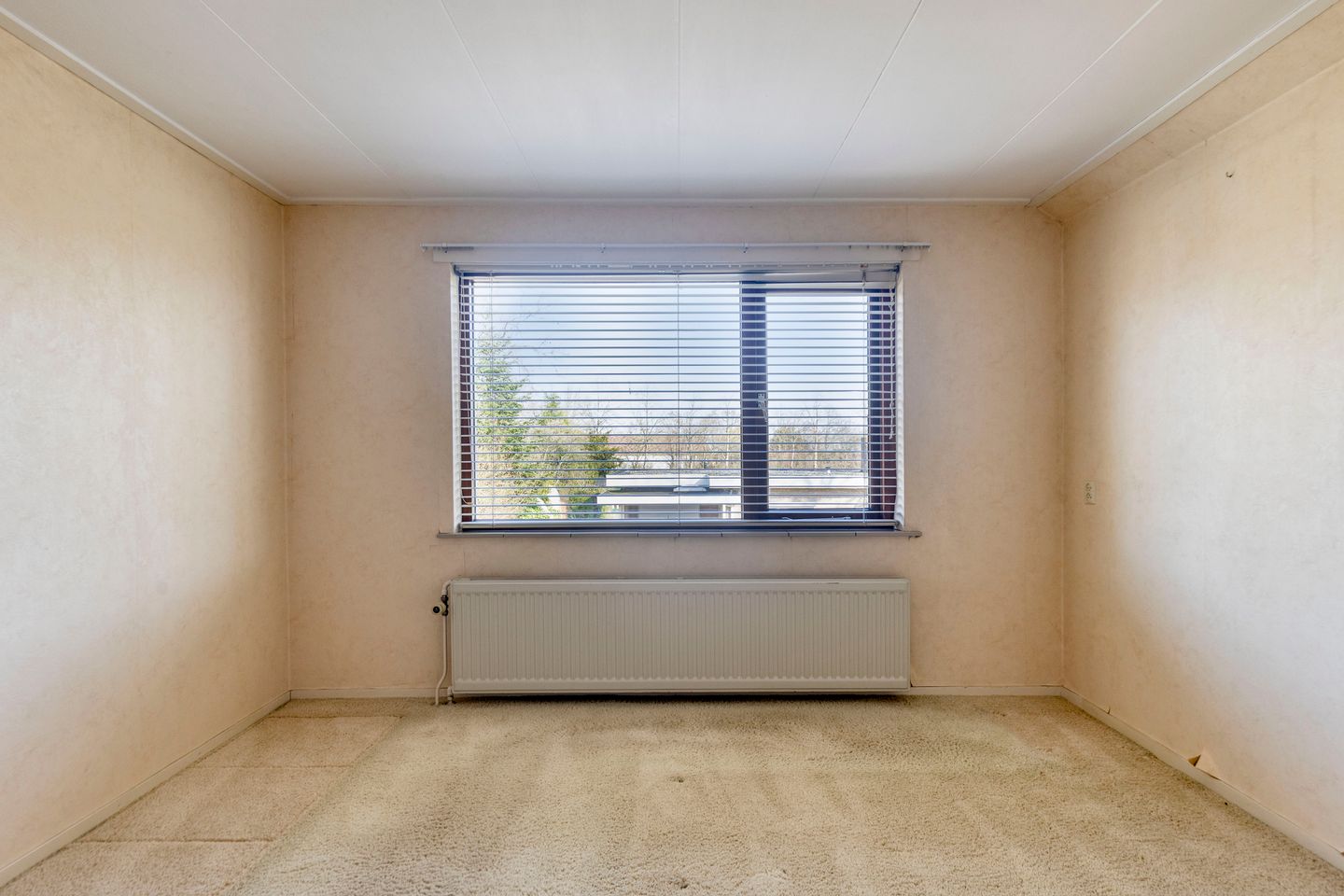 Foto 19 van Stadhouderslaan 11