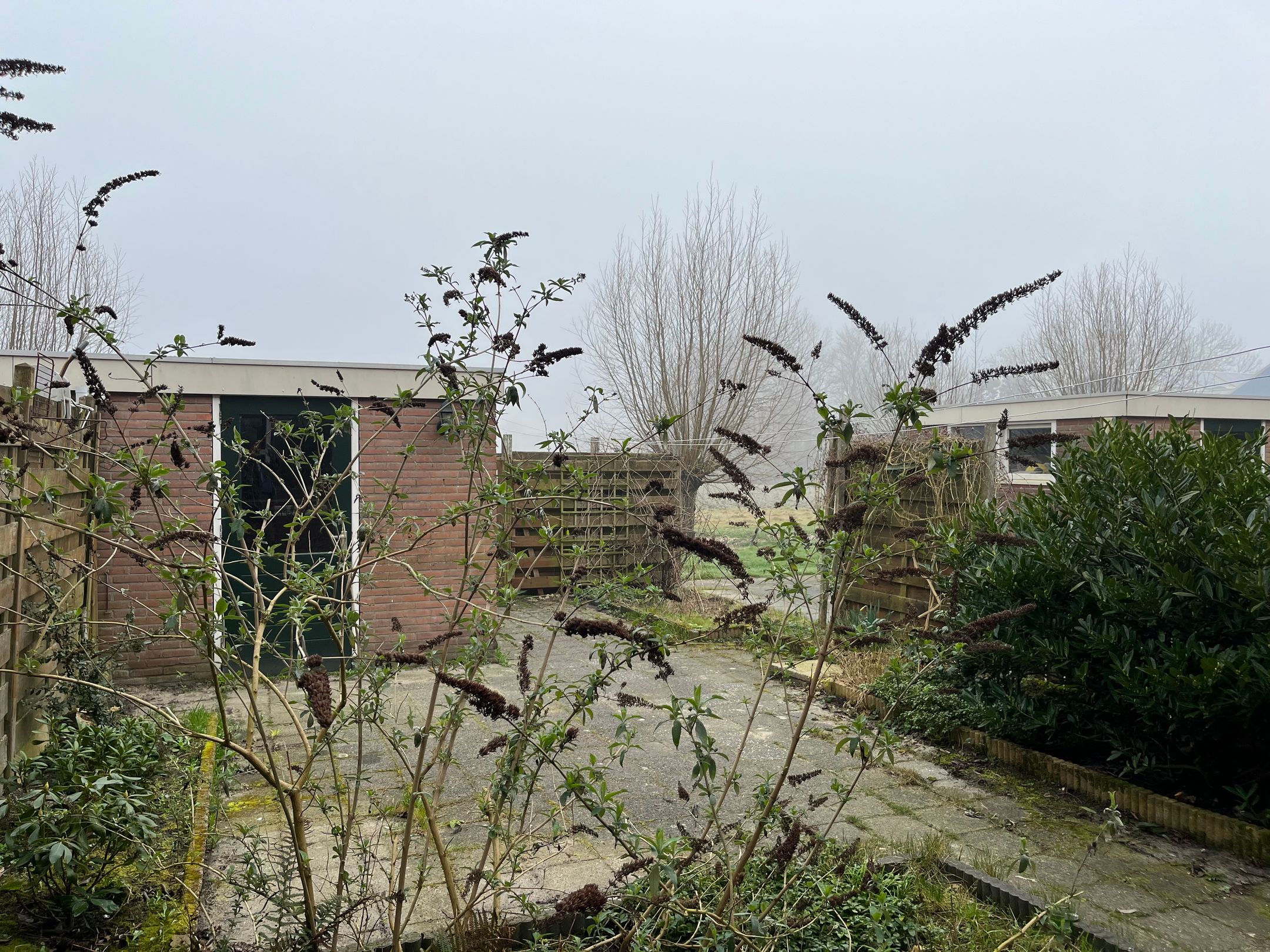 Foto 12 van Wiekstraat 49