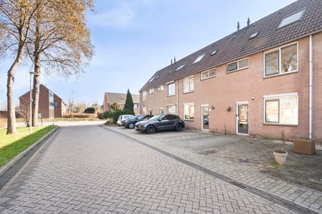 Dotterbloem 7 tertiary image