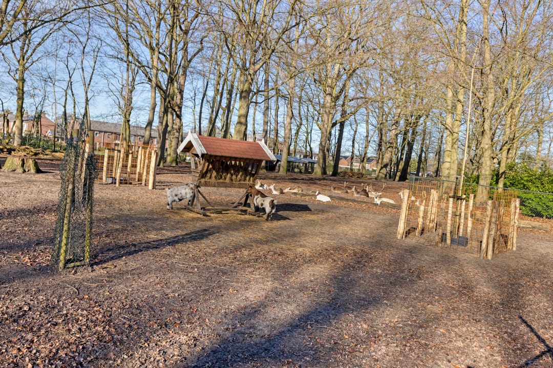 Foto 53 van Léharstraat 8