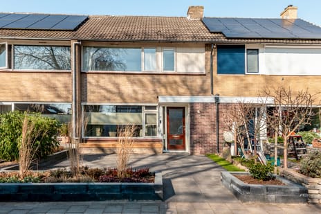 undefined main image