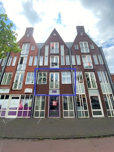 Foto 3 van Zuidvliet 294-D