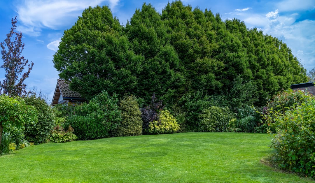 Photo 38 of Herman Buismanlaan 6