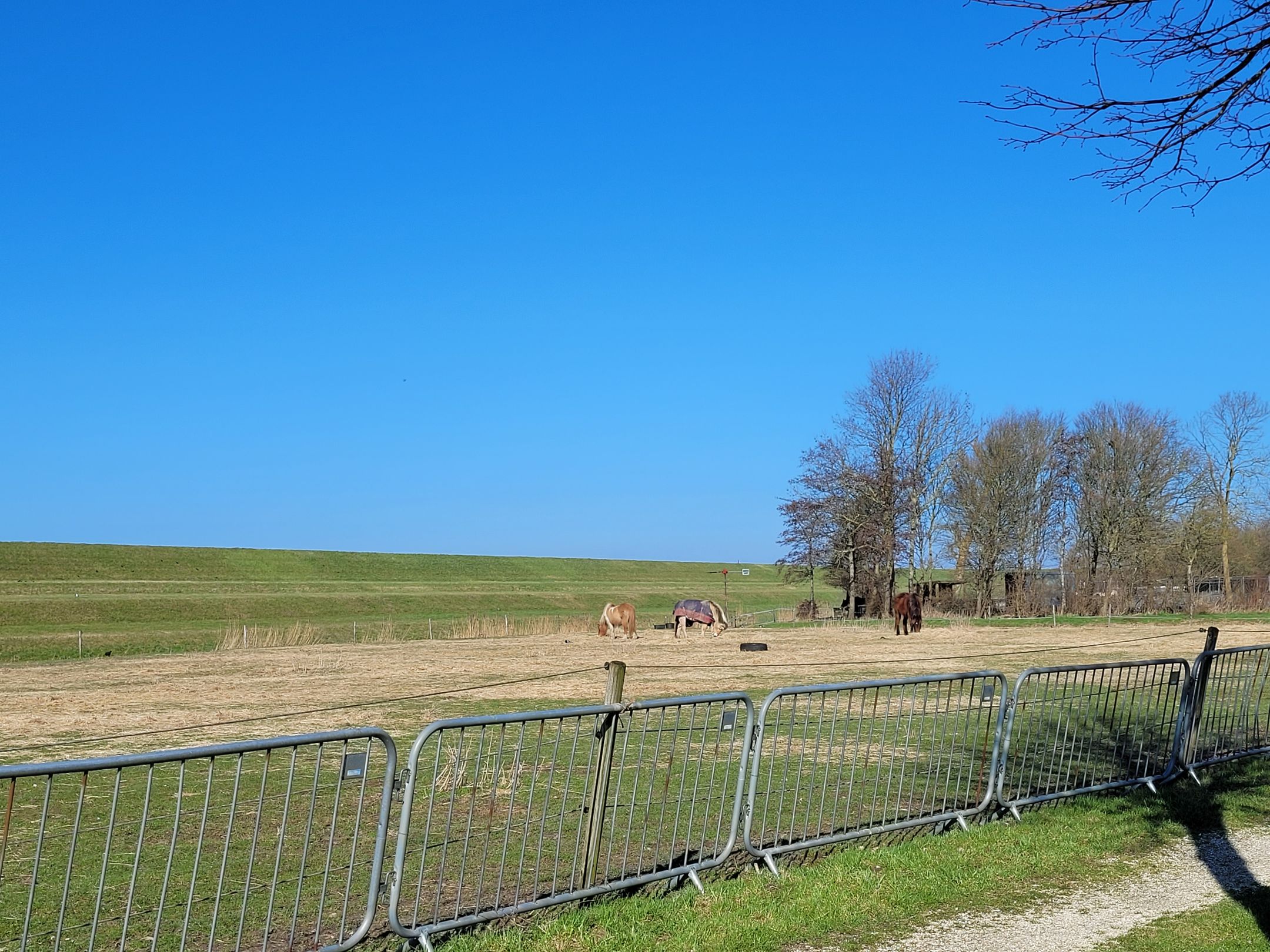 Foto 18 van Proefpolder 4-381