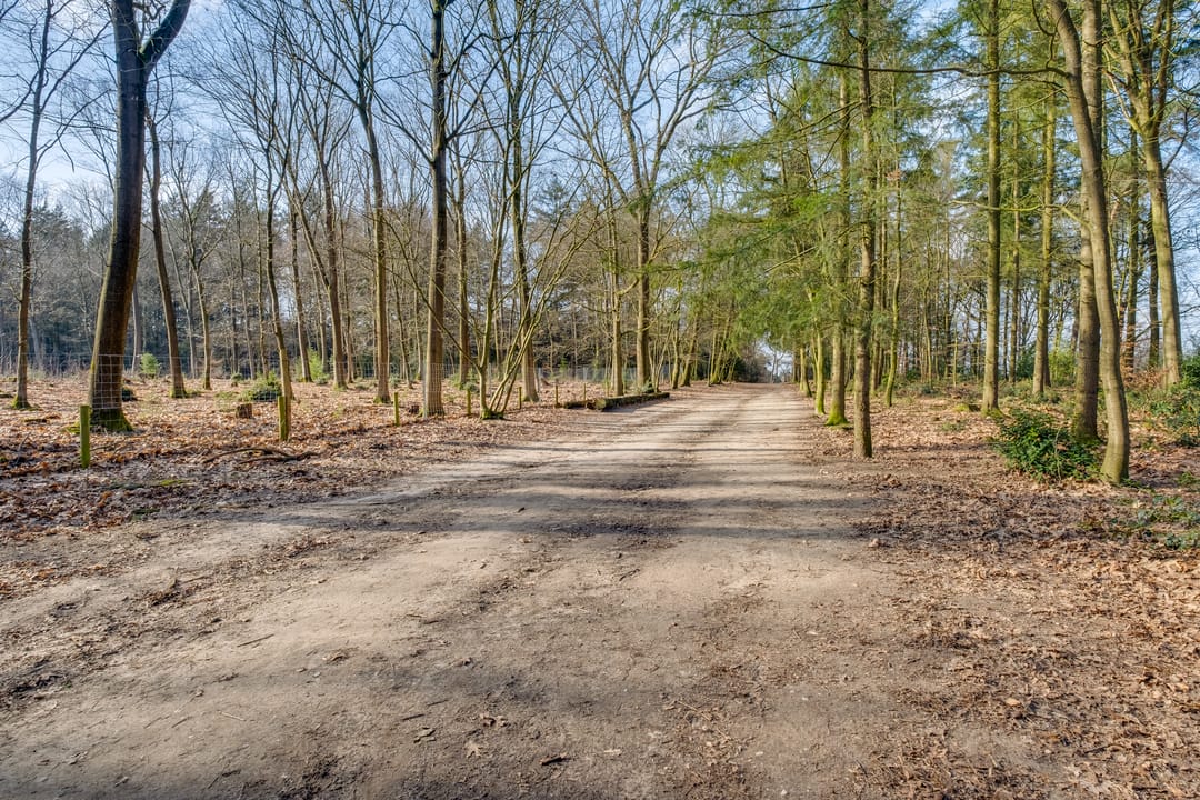 Photo 38 of Alphons Diepenbrocklaan 13