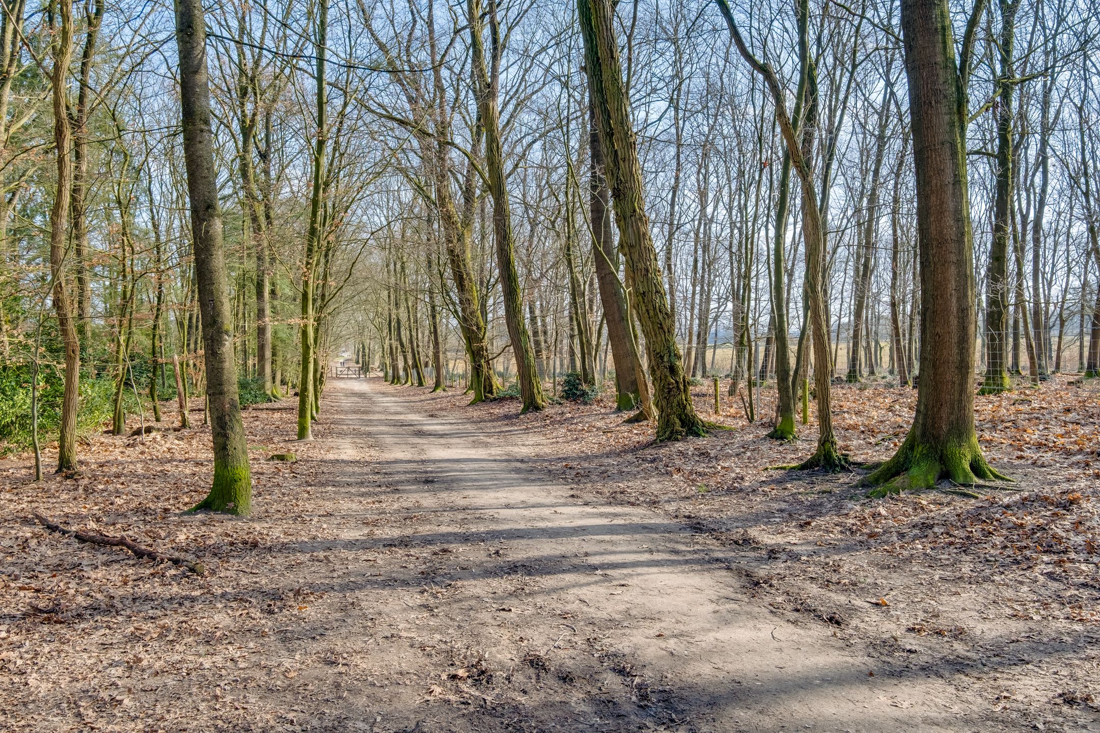 Photo 39 of Alphons Diepenbrocklaan 13