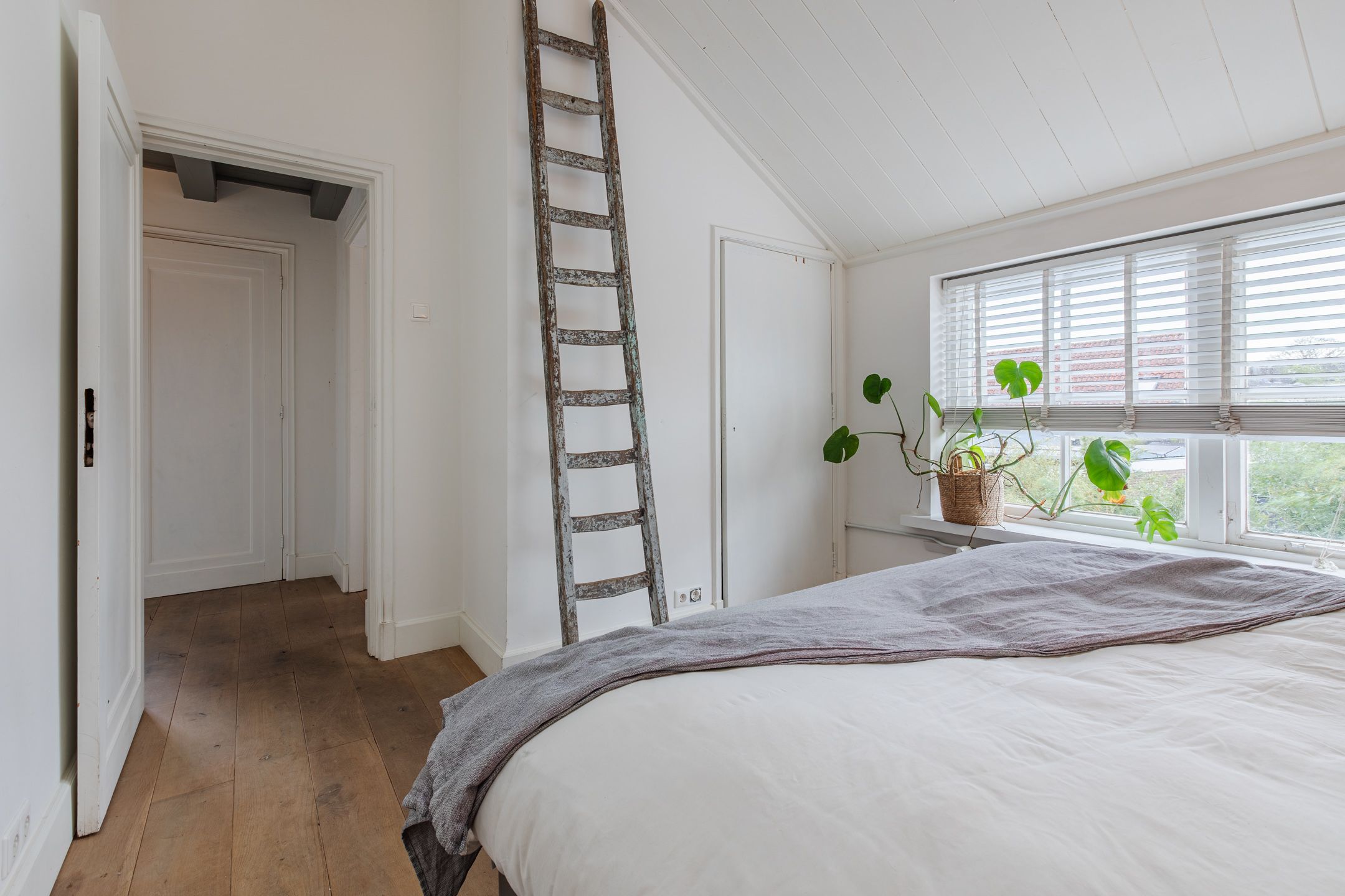 Foto 21 van Hovenierslaantje 5