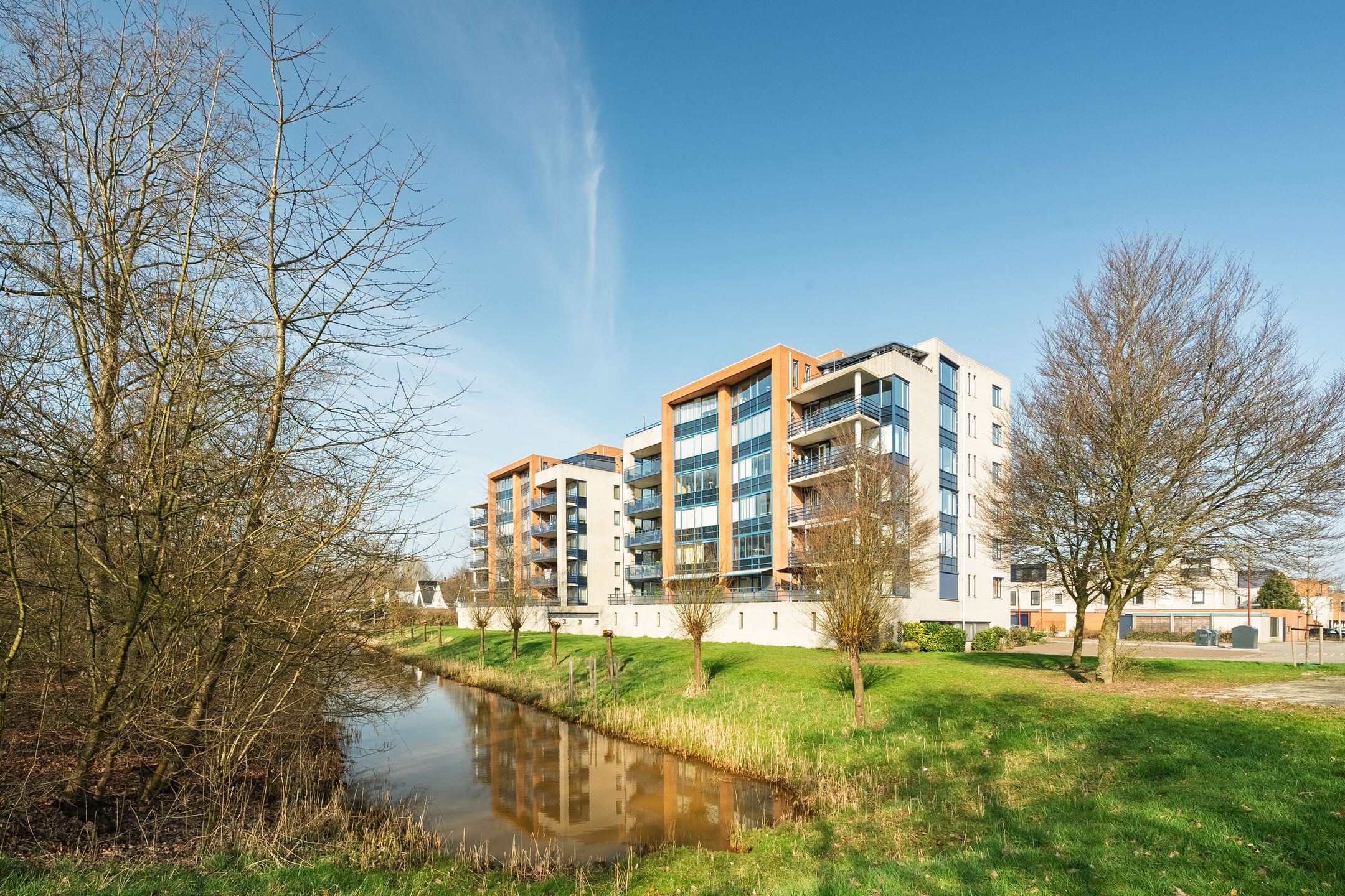 Lucas van Leydenhage 52