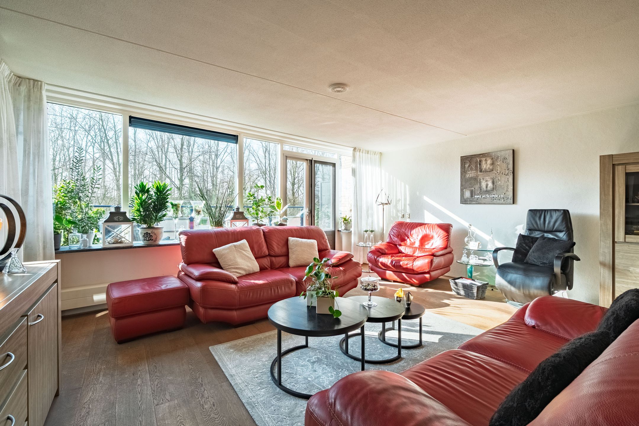 Foto 6 van Lucas van Leydenhage 52