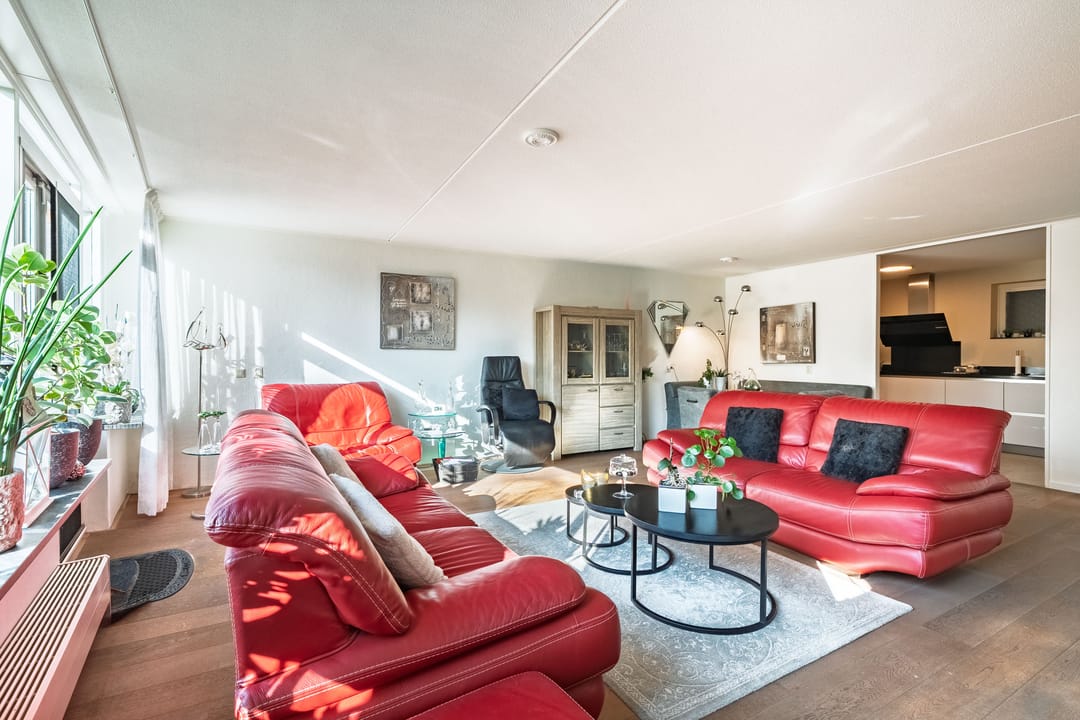 Foto 7 van Lucas van Leydenhage 52