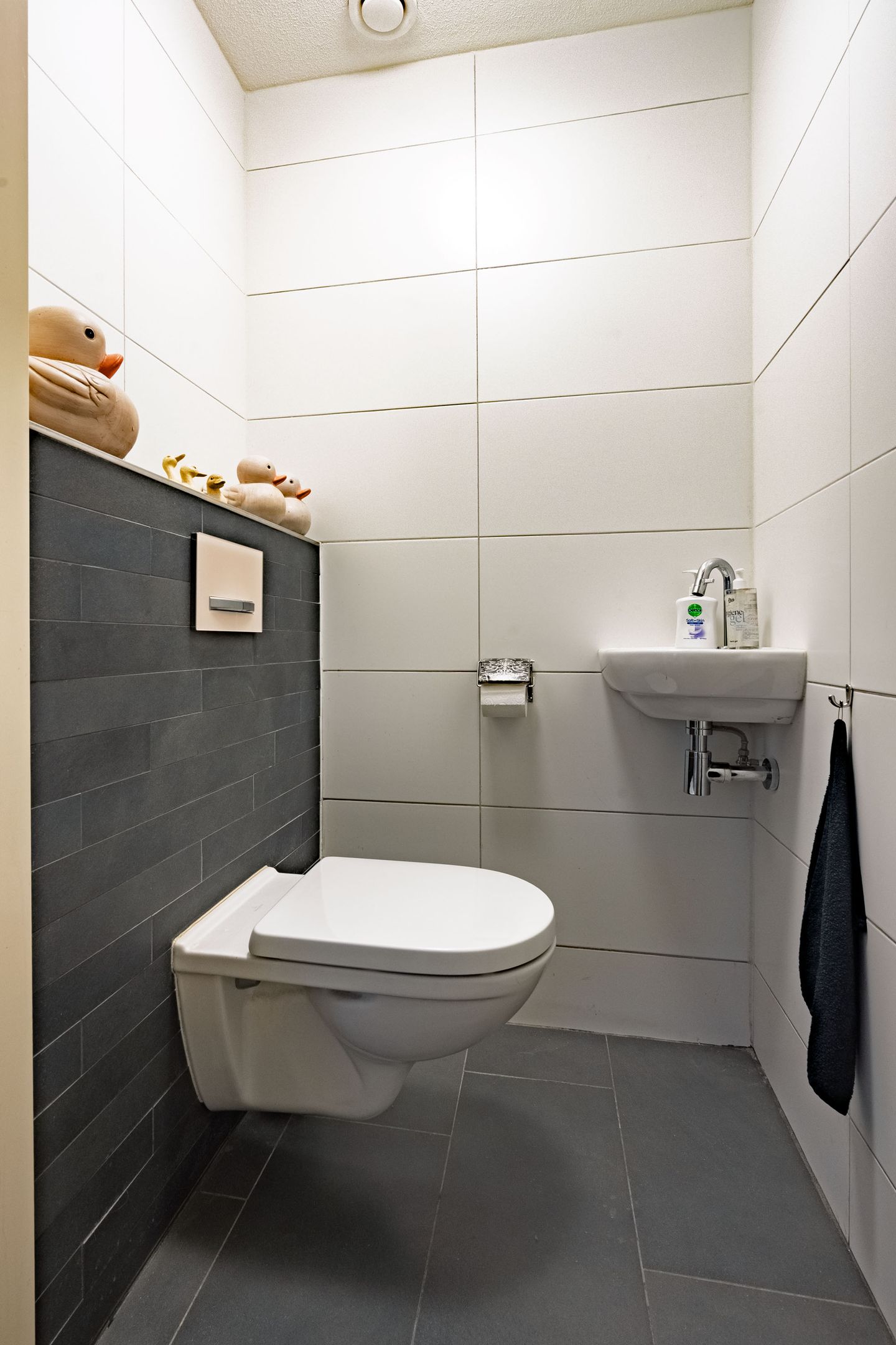 Foto 19 van Lucas van Leydenhage 52