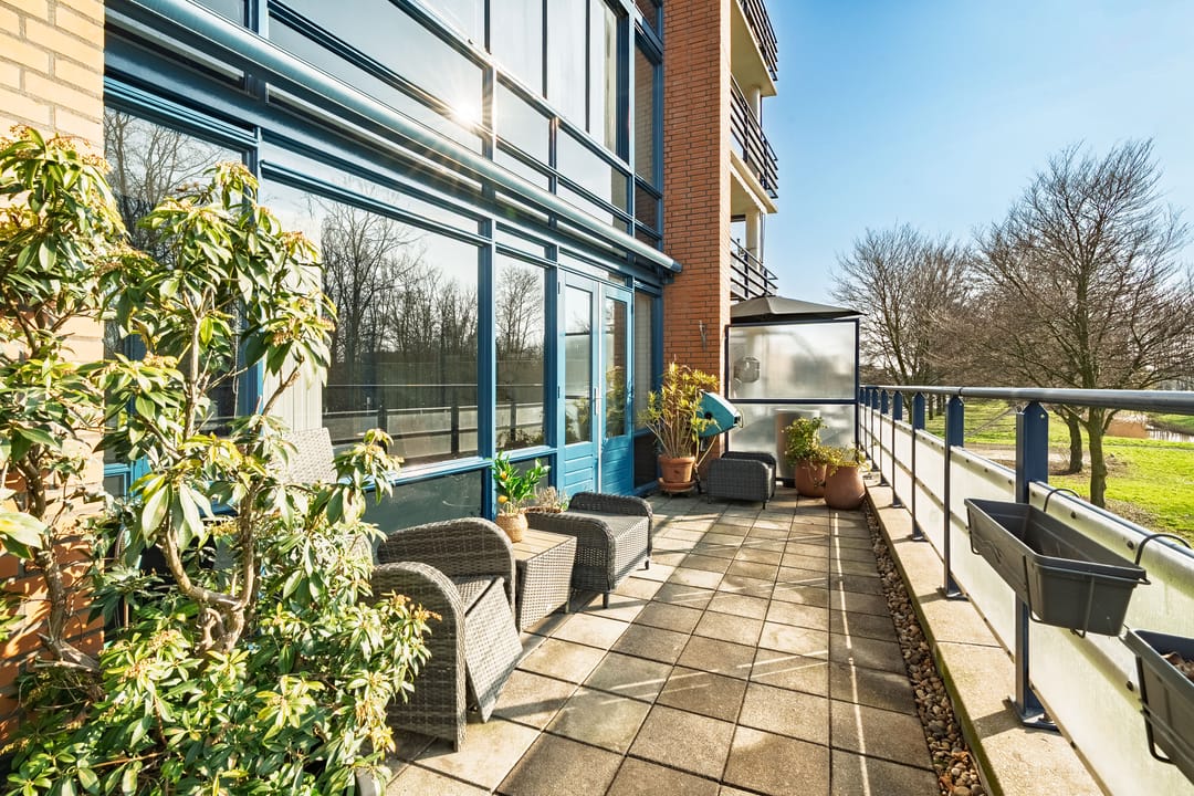 Foto 23 van Lucas van Leydenhage 52