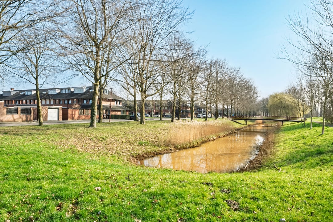 Foto 28 van Lucas van Leydenhage 52