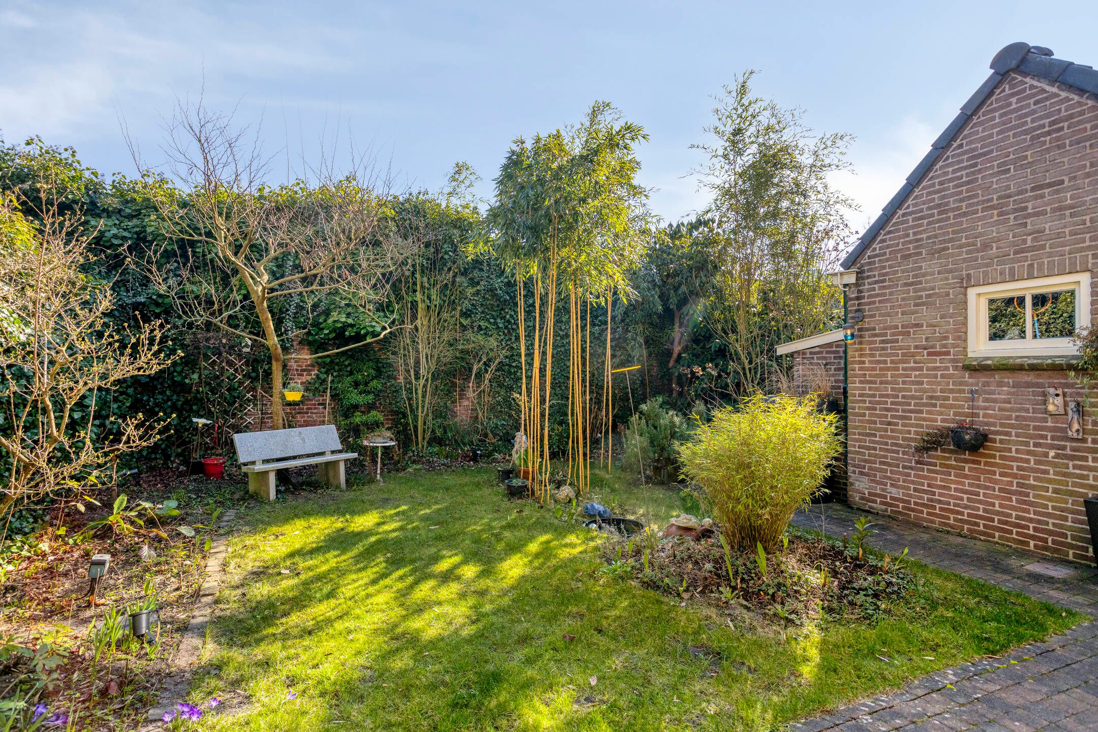 Foto 36 van Oldenzaalsestraat 120