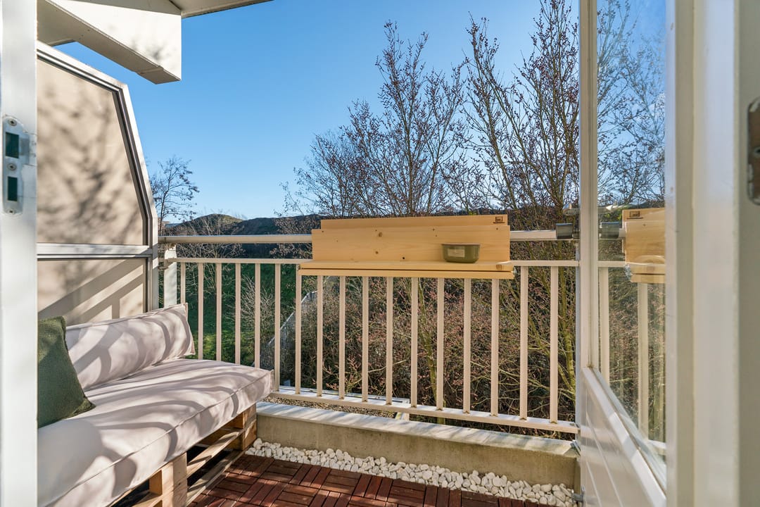 Foto 13 van Ridderspoor 128