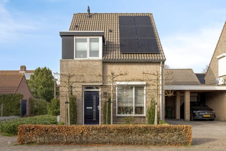 undefined main image