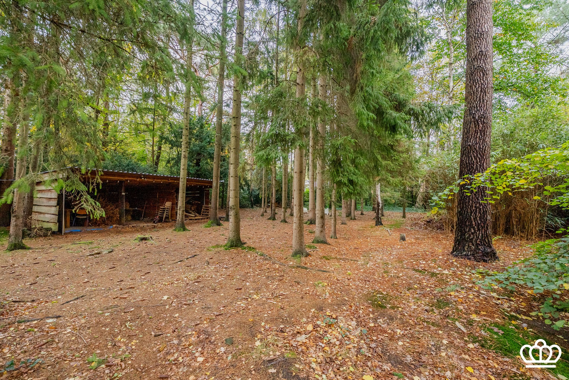 Foto 39 van Speckweg 36