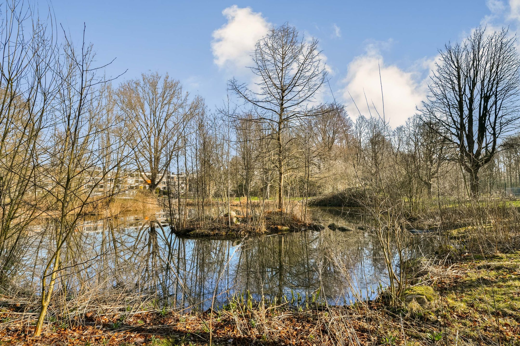 Foto 18 van Van Nijenrodeweg 172