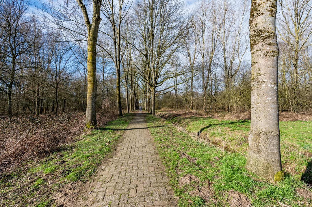 Photo 53 of Spoorven 531