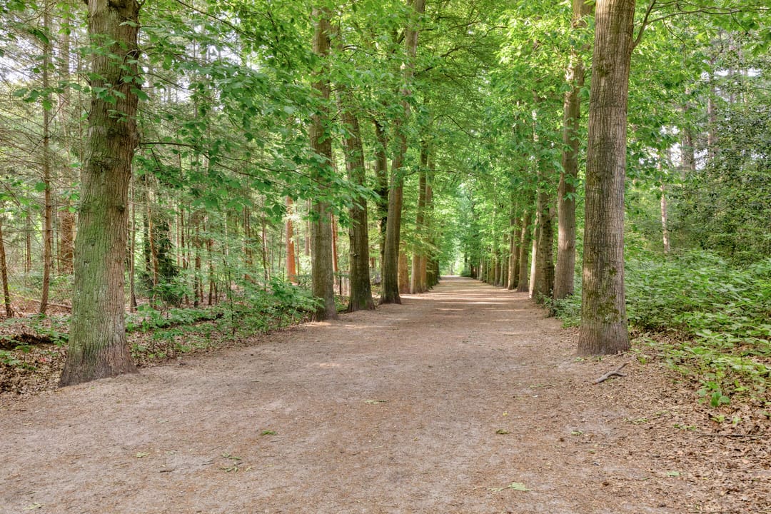 Photo 32 of Soesterweg 213