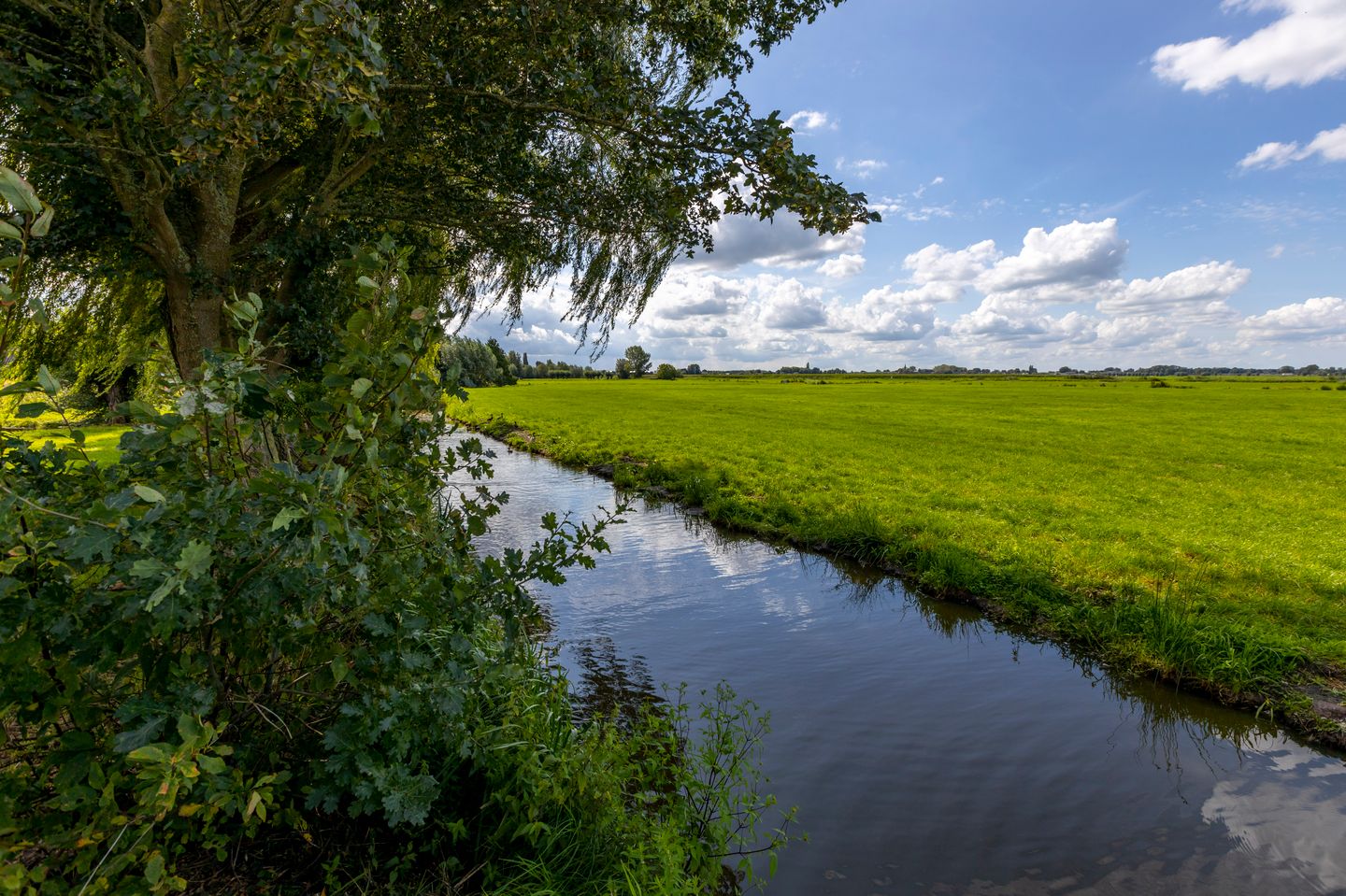 Photo 40 of Bazeldijk 20