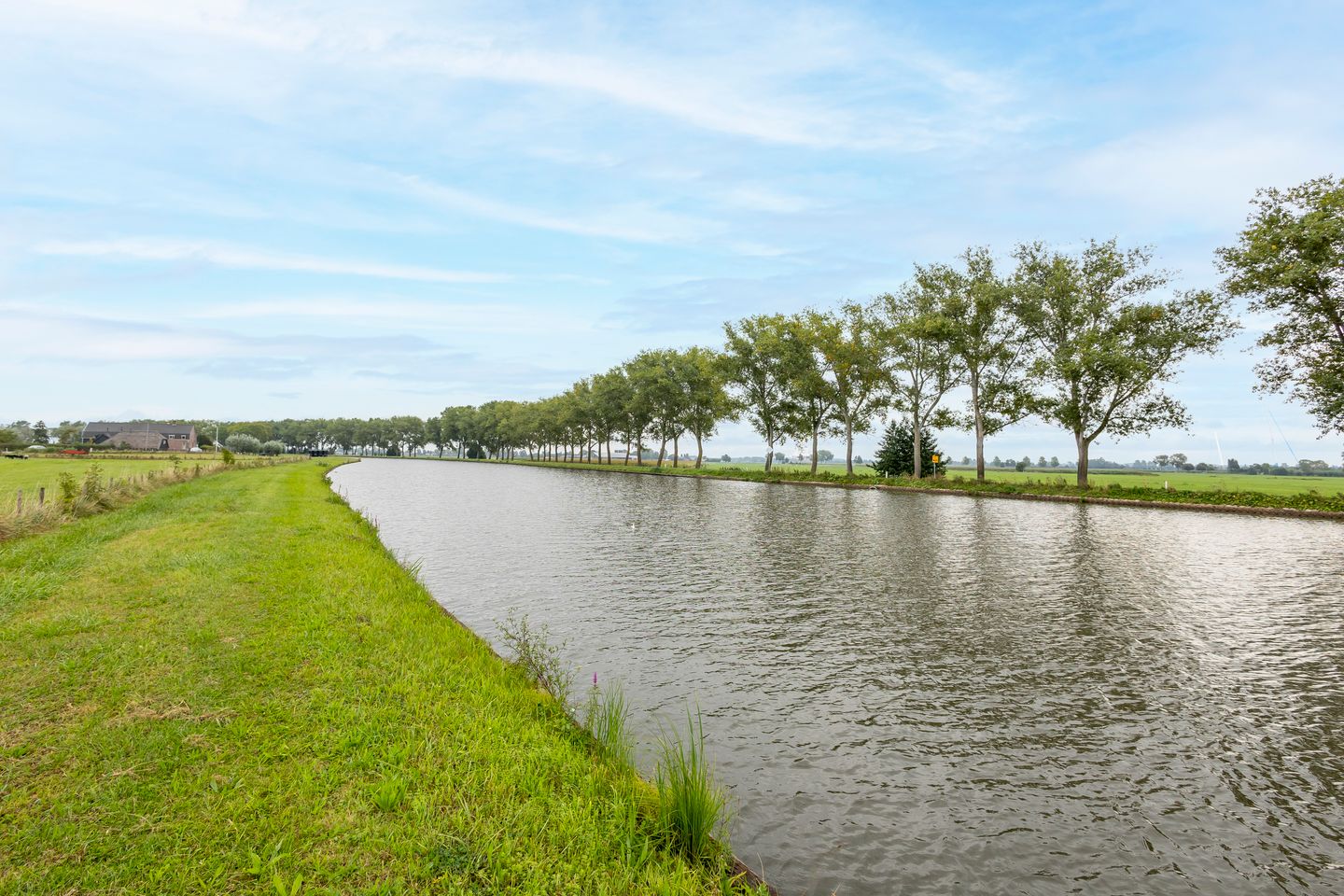 Photo 49 of Bazeldijk 20