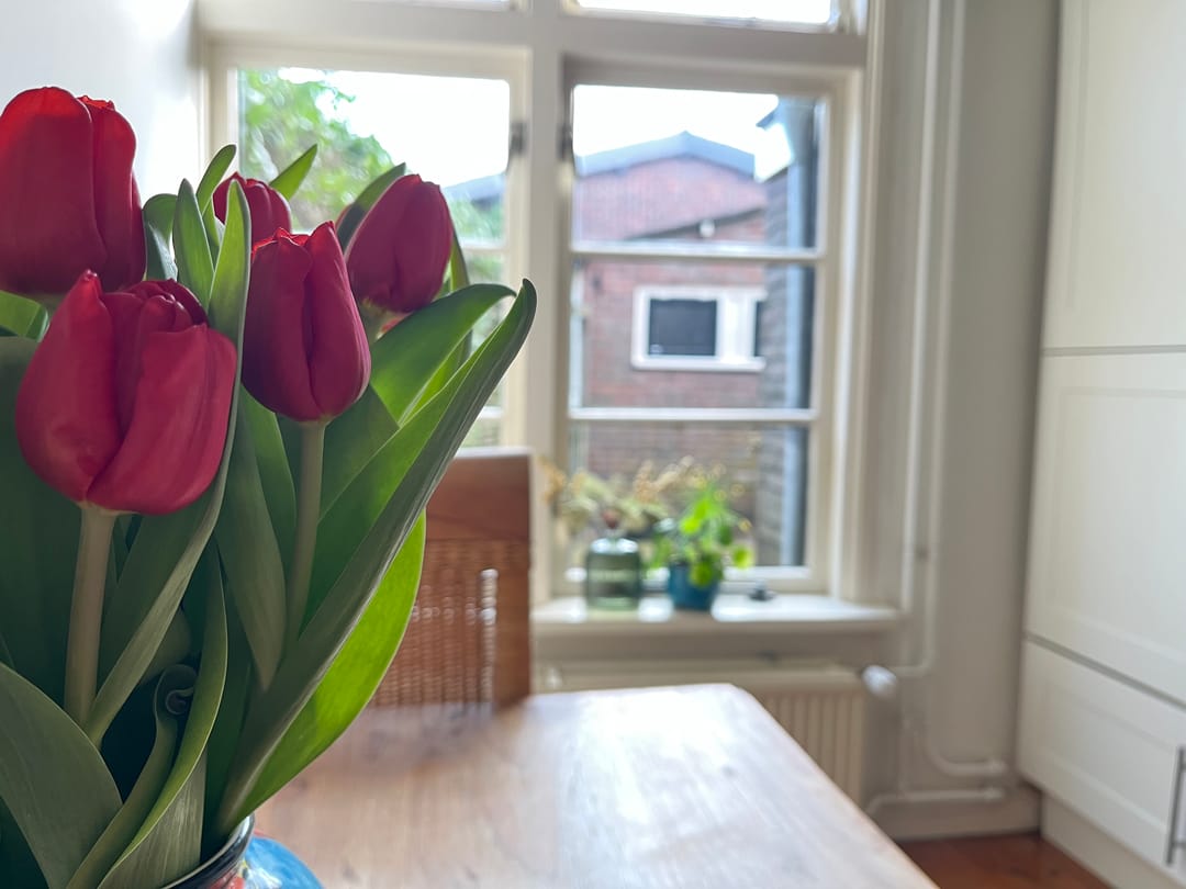 Foto 13 van Paardenmarkt 22-A