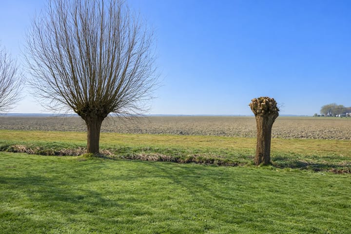 Foto 3 van Wiekstraat 49