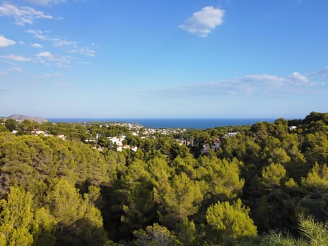 Carrer del Jacinth secondary image