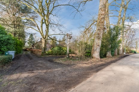 undefined main image