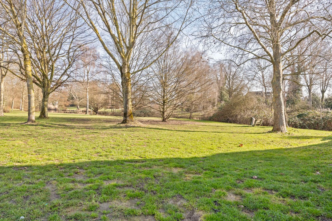 Photo 41 of Bredeweg 377