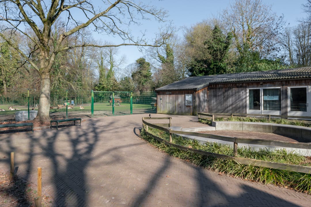 Foto 41 van Robert Schumannstraat 1