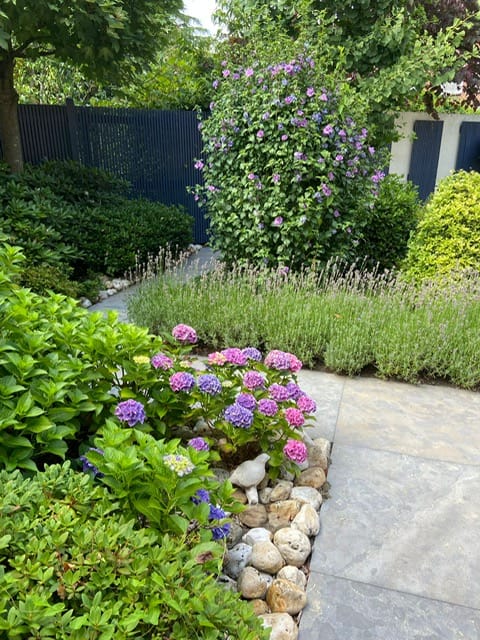 Foto 57 van Boordseweg 42