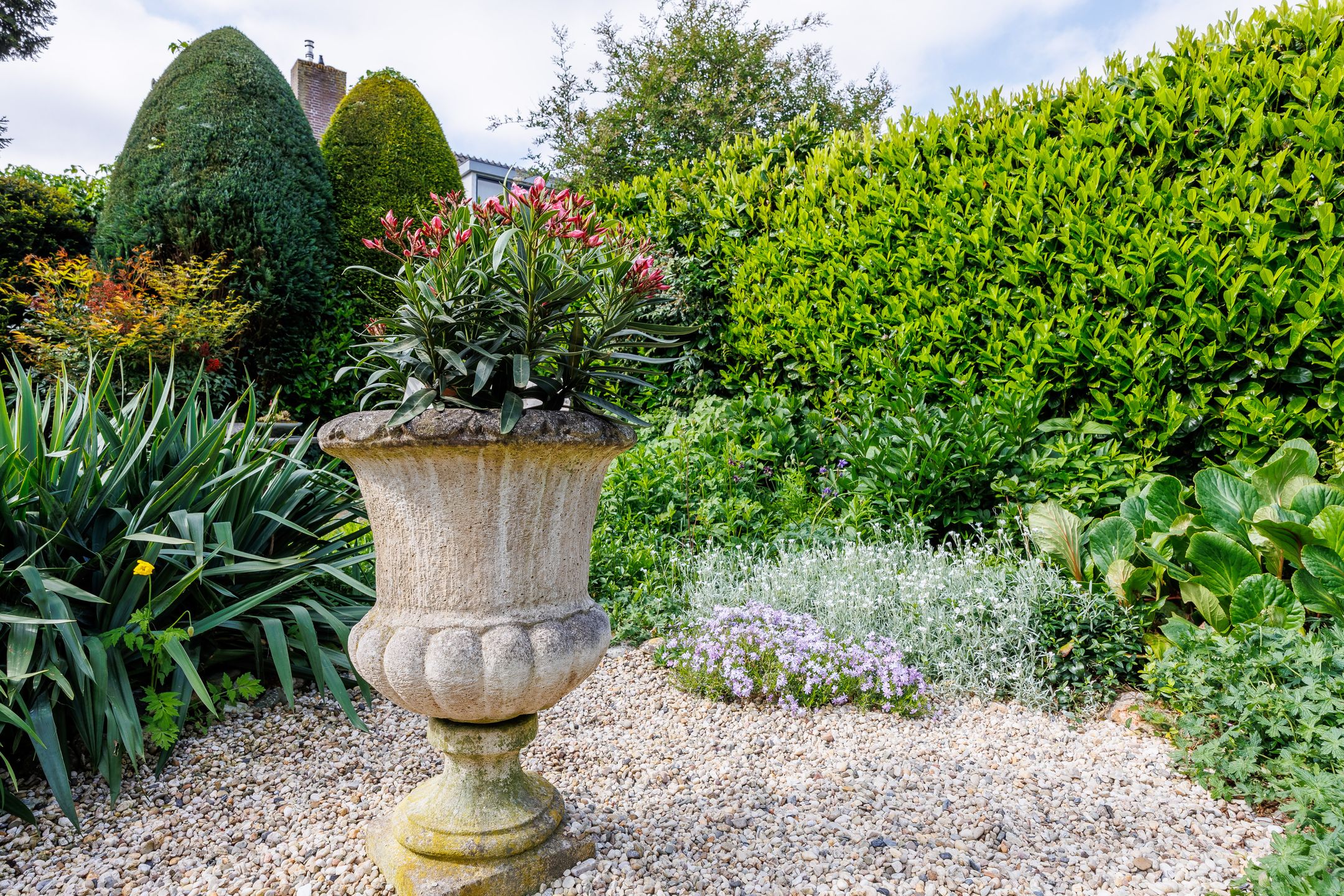 Foto 48 van Nieuwe Pyramide 27