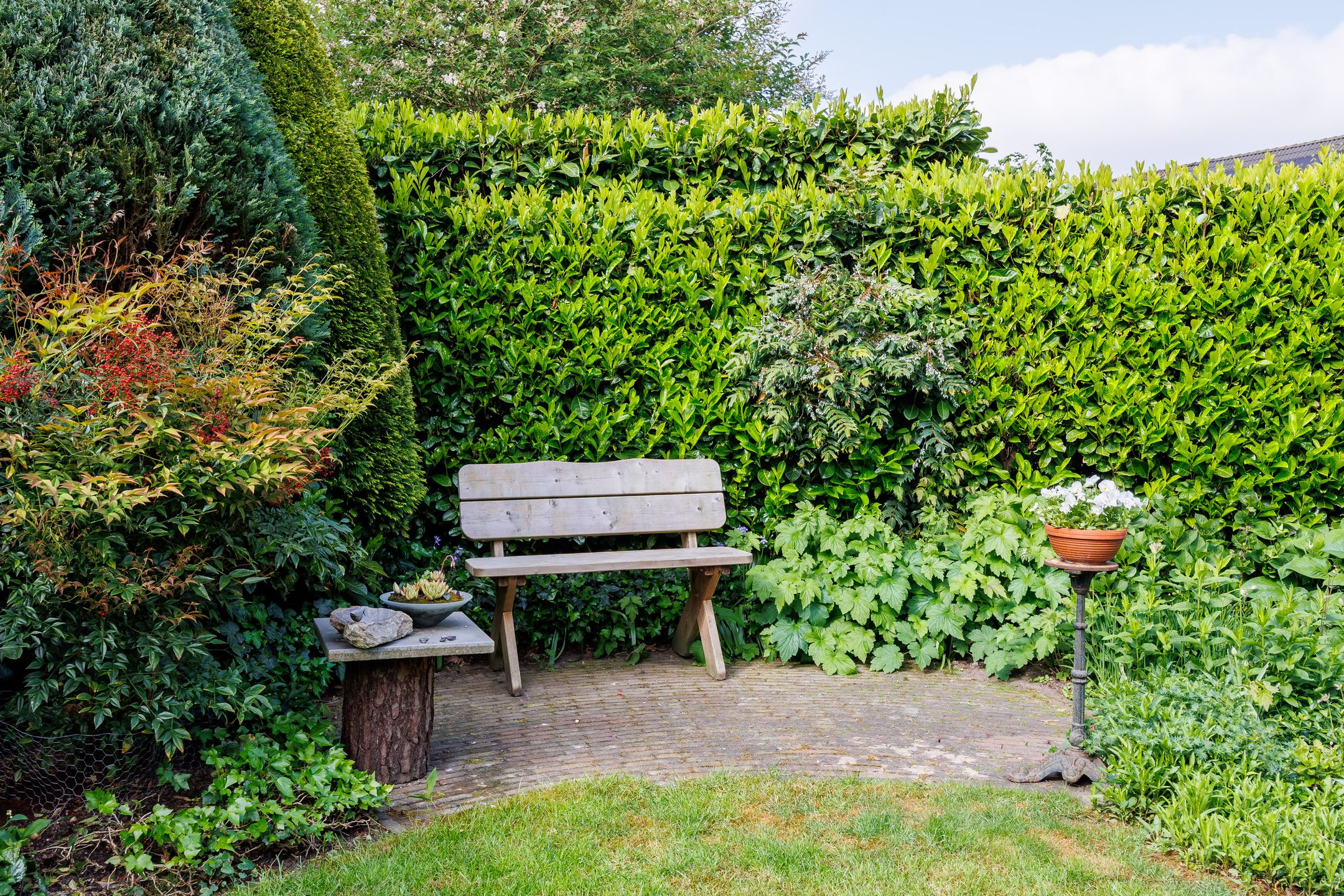 Foto 51 van Nieuwe Pyramide 27