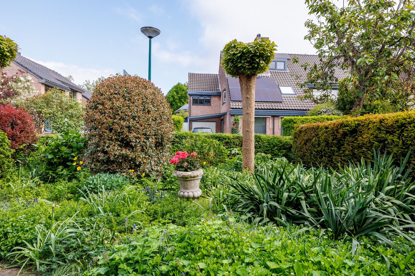 Foto 55 van Nieuwe Pyramide 27