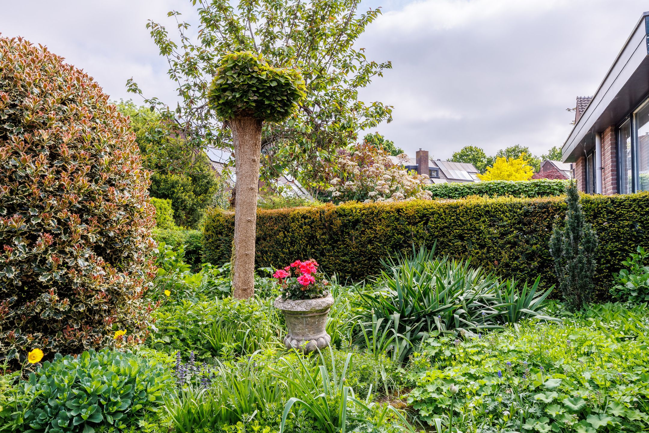 Foto 54 van Nieuwe Pyramide 27