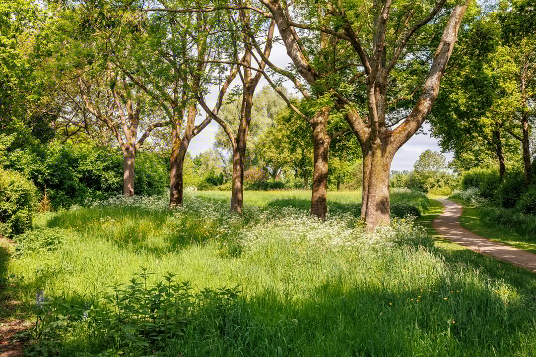 Foto 56 van Nieuwe Pyramide 27