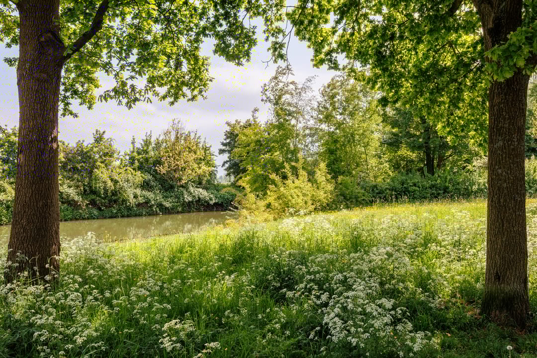 Foto 58 van Nieuwe Pyramide 27