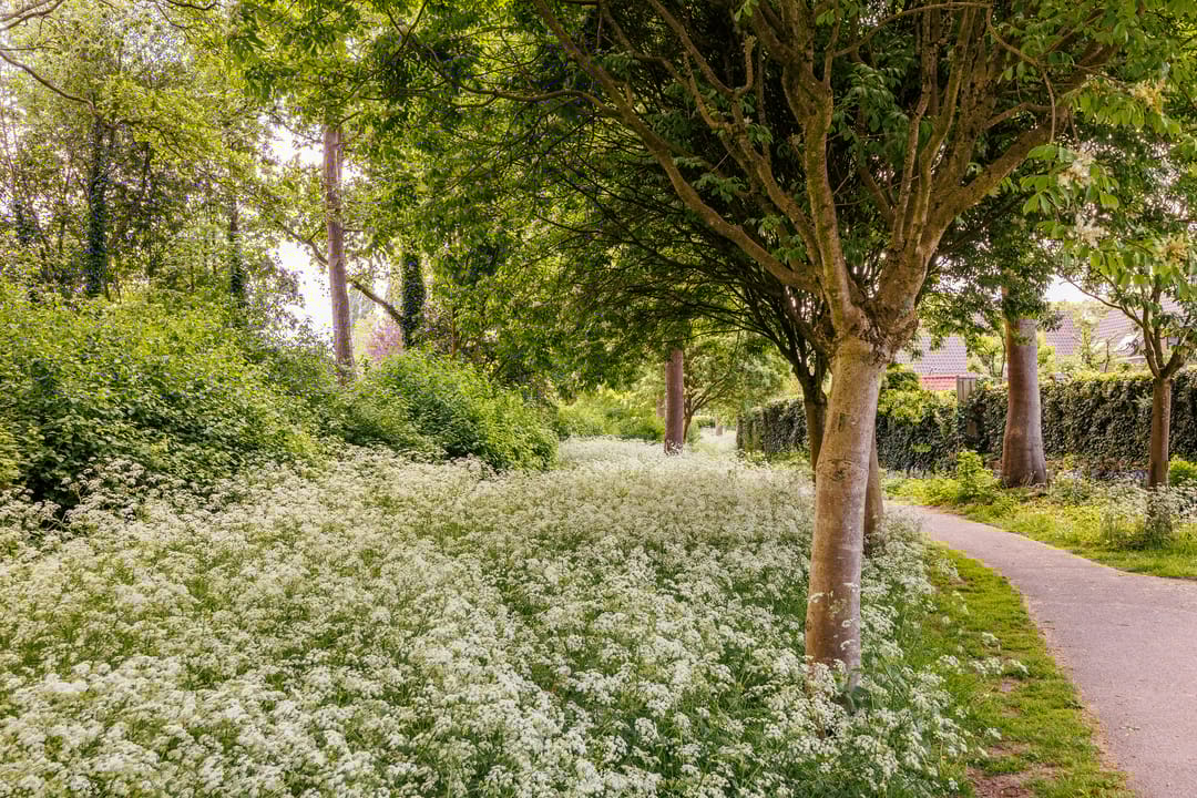 Foto 61 van Nieuwe Pyramide 27