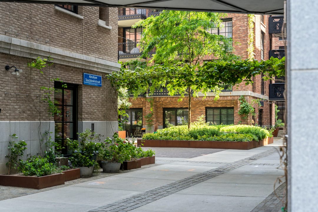 Photo 11 of Abraham Tuschinskistraat 61